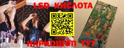 стаф Баксан
